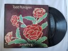 Todd Rundgren Something / Anything? Vinyl Record Vintage 1972 Warner Bros