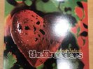The Breeders Last Splash Original 1993 VG+ LP Vinyl