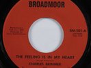 Crossover Soul 45 CHARLES BRIMMER The Feeling Is In My Heart BROADMOOR HEAR