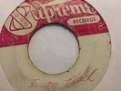 LLOYD WILLIAMS - is it because i'm black - SUPREME RARE REGGAE FUNK