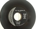 HARRY DEAL AND THE GALAXIES  WHAT AM I GONNA DO RARE NORTHERN SOUL