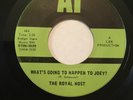 ROBIN LEE SCHENZEL -  Bubble Gum/What's Going... 45rpm AT 3529 - NM Condition