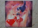 SAILOR MOON THE 20TH ANNIVERSARY MEMORIAL TRIBUTE DISCO 45 Giri VINYL RECORD