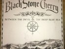 Black Stone Cherry - Between The Devil & The Deep Blue Sea - Vinyl LP