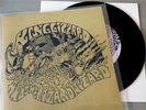 KING GIZZARD AND THE LIZARD WIZARD ?– Black Tooth, Unofficial 7