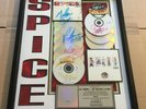 Spice Girls RIAA Multi Platin Award 