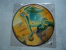 Vinyl Picture Bildplatte AMANDA LEAR - NEVER TRUST A PRETTY FACE 1979