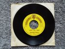 RARE MICHIGAN GARAGE PSYCH SOUL-COCONUT GROOVE 2035-ELATION FIELDS-45-NICE VINYL