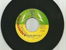 PABLO ROOTS / REGGAE MR. OPERATOR / DUB / 7''/
