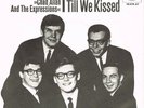 THE CHAD ALLEN & THE EXPRESSIONS 