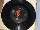The Roosters I Wanna Do It 1965 Private Press Garage Rock Utica NY Hamilton