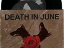 Death In June 