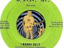 ROBIN THREE HOODS I WANNA DO IT GROUP GARAGE ROCK 45 RPM RECORD