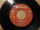 RARE TX GARAGE 45 FROM THE NEW BREED, LITTLE BIT OF SOUL & SOMEONE ON IN CROWD