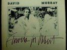 LP DAVID MURRAY - flowers for albert, nm