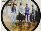 SMALL FACES - Itchycoo Park (Ltd. Ed. Vinyl Picture Disc Single, 2017, RSD) *NEW