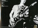 The Essential Stevie Ray Vaughan And Double Trouble [VINYL]