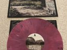 Swellers Ups And Downsizing Rare lp New Found Glory Bayside The Story So Far