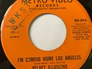 Psych Garage 45/ Velvet Illusions 