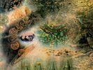 Pink Floyd ?– A Saucerful Of Secrets [12'' VINYL LP] VG+, UK
