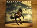 Bruce Springsteen Western Stars Blue Vinyl