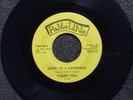 northern soul TOMMY NEAL Goin To a Happening PAMELINE 100