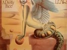 Vinyl Record 33 Tours Amanda Lear 