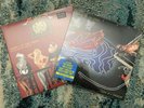 PANIC AT THE DISCO Fever You Can't Sweat Out & Death of A Bachelor Limited VINYL