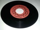 BLANK[COXSONE]/MAMA DIDNT KNOW - THE TERMITES  [R/STEADY]   7
