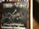 YOUTH OF TODAY BREAK DOWN THE WALLS NYHC ORANGE VINYL PUNK YOT REVELATION
