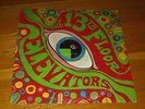 The Psychedelic Sounds Of The 13th Floor Elevators MONO LP 1967 Press Psych
