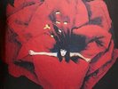 Smashing Pumpkins - Adore [VINYL]