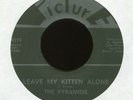 THE PYRAMIDS Leave My Kitten Alone on Picture Mod Funk 45 VG++ Hear