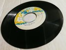 BARRY BROWN - STONE OF THE ARRIVAL // THE STONE [ SNOWBIRD ]    [ NOV165 ]