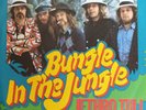 Jethro Tull ?– Bungle In The Jungle * Single (Vinyl) 1974 RAR   NMint
