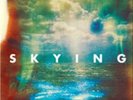 The Horrors-Skying Vinyl / 12