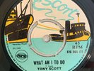 TONY SCOTT - WHAT AM I TO DO - ESCORT ( SKINHEAD 7 )