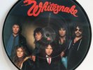 Whitesnake 