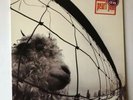 Pearl Jam - VS, Dutch Pressing 1993, EPC 474549 1