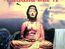 box 5 LP 33 ?Buddha-Bar IV George V Records ?3074276 FRANCIA 2002 SIGILLATO