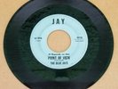 45 RPM  BLUE-EYED NOR SOUL: The Blue Jays-Point of View-Jay 4815-VG