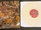 THE STONE ROSES DEBUT ALBUM  - VERY RARE 12