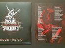 Michael Schenker's Temple Of Rock - Bridge The Gap. Vinyl LP 2013. Free Postage.