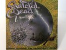 Grateful Dead Dark Star Born Cross Eyed 1977 Promo Warner Bros. Records 7