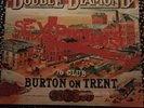 Sex Pistols Live In Burton On Trent In 1976. Vinyl Album