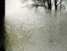 Bon Iver: For Emma, Forever Ago(+ DL)  LP vinyl