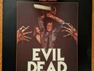EVIL DEAD  Varese Sarabande  Rare Vinyl ORIG 1984 Horror Soundtrack Halloween LP