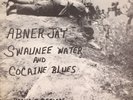 Abner Jay Swaunee Water and Cocaine Blues LP Mono Brandie  LP-1001 Private Press
