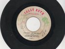 Panama Soul 45 The Dynamic Exciters - Children of the night on Sally Ruth HEAR