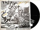 The POP GROUP LP Cabinet Of Curiosities 180g Vinyl SIGNED   Full Download SEALED
